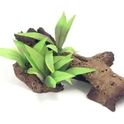 Sydeco Mopani Wood With Plants Medium