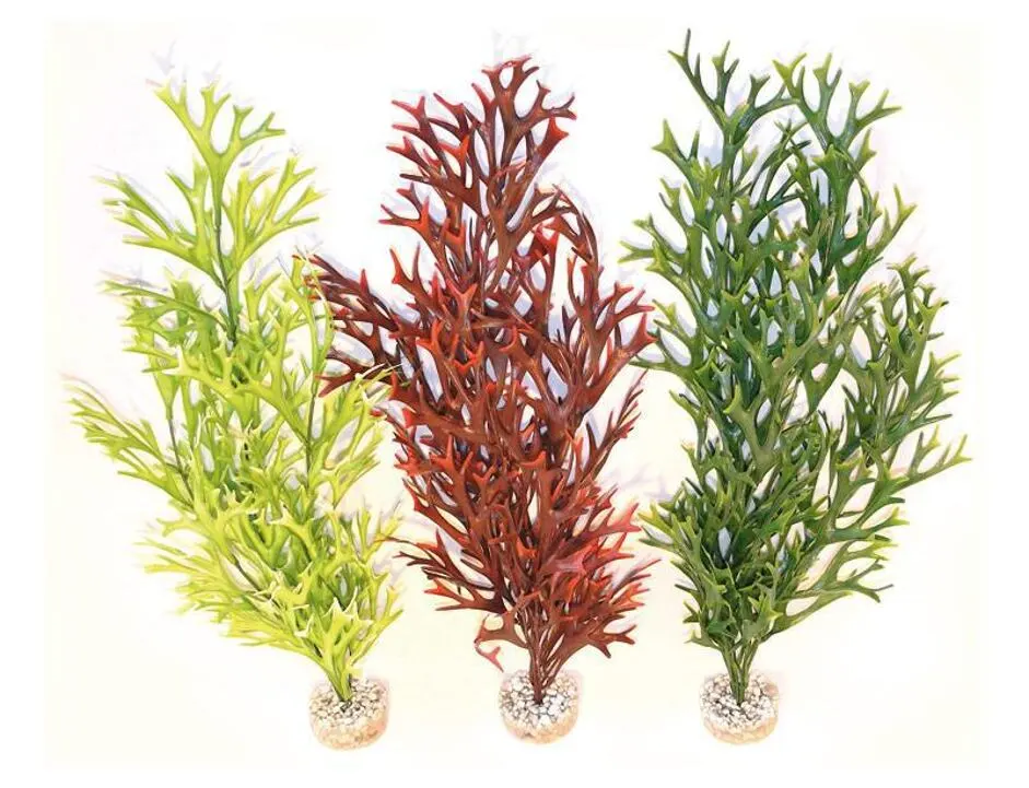Sydeco Water Fern Flexible 58 Cm - Rot