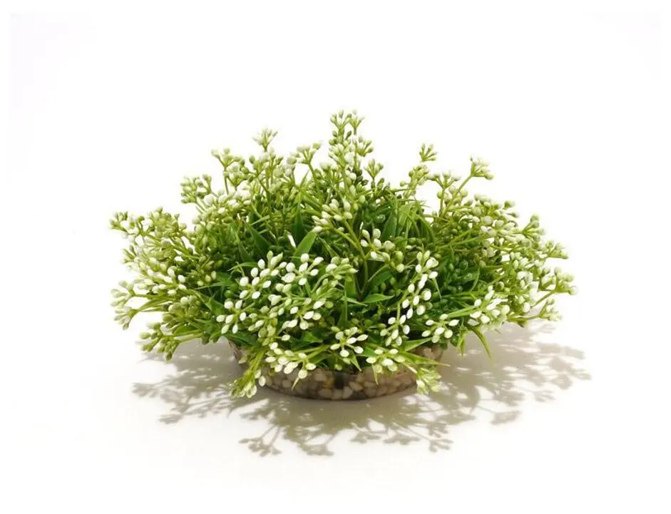 Sydeco Beauty Ball 10 X 15 Cm