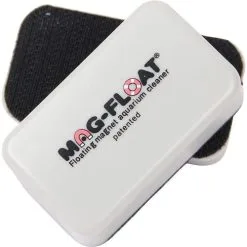 ALGENMAGNET - Klein 60 X 31 X 24,5 Mm - Für 5 Mm GLAS