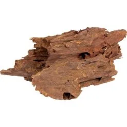 Mangrovenbaumwurzeln 15 Cm - 23 Cm